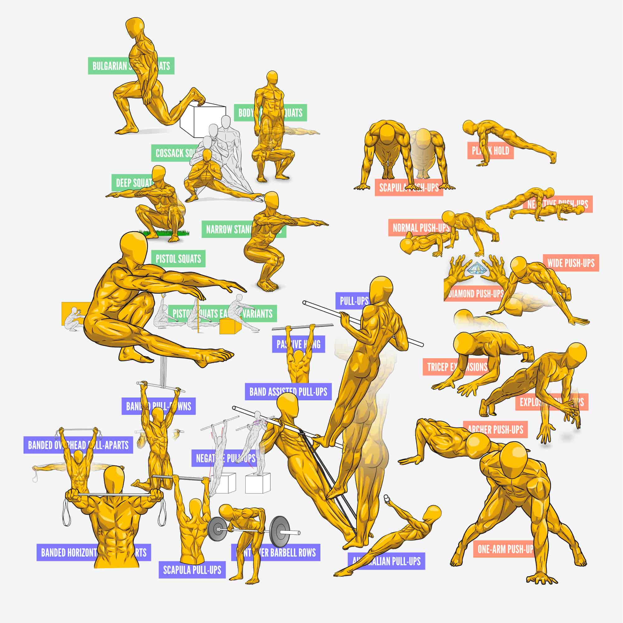 Calisthenics Playbook for Push Pull Squat (Digital book) - Image 6